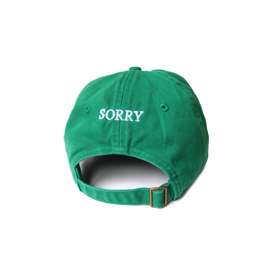 IDEA Sorry / I Don't Work Here Hat Green Sea Green